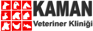 İbrahim KAMAN